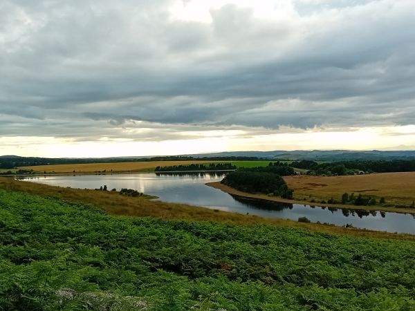 Looking across Threpmuir Reservoir 